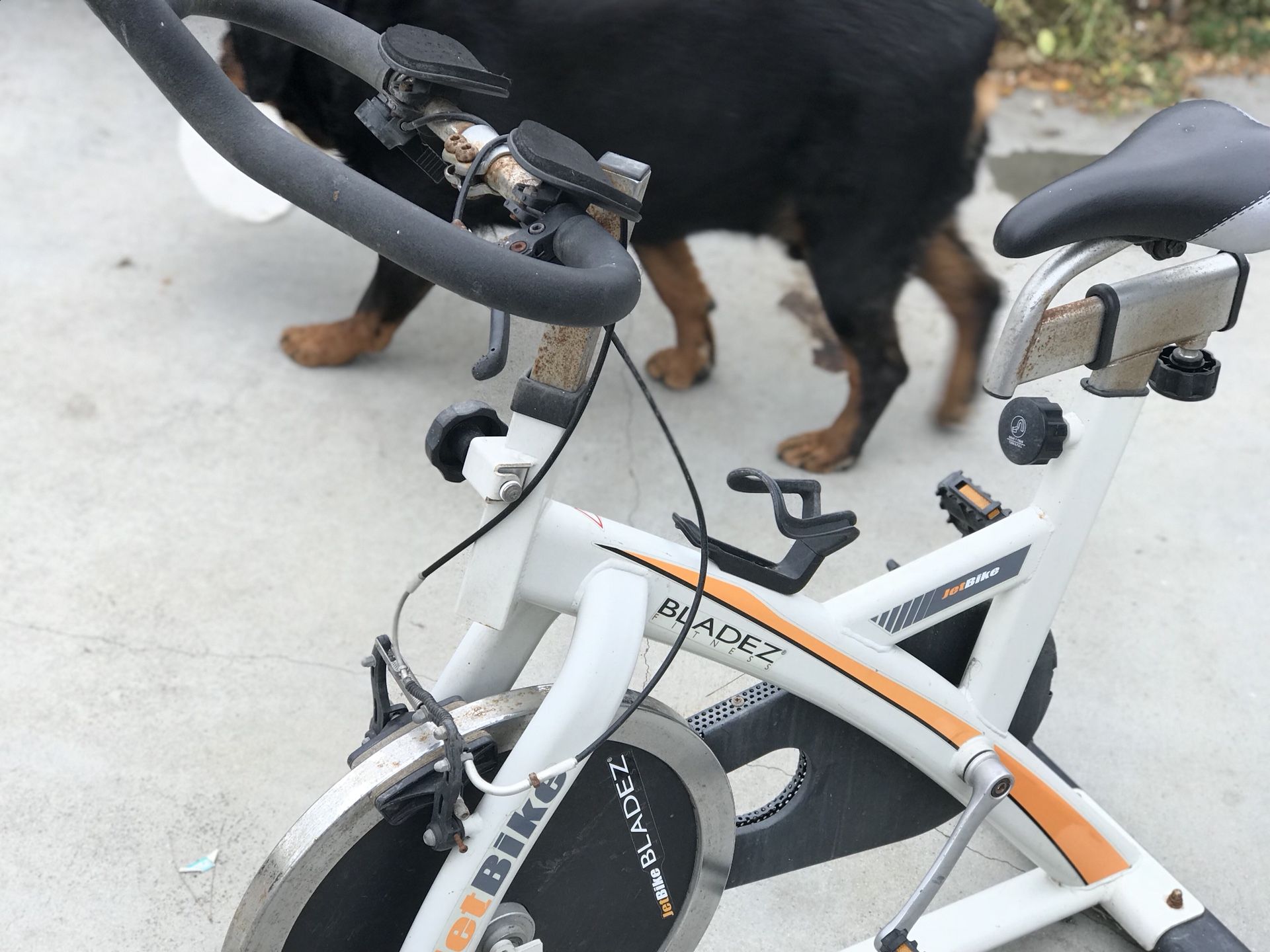 Spin bike Bladez fitness jet bike for Sale in Long Beach CA OfferUp