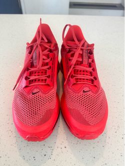 Nike Pegasus premium size 10