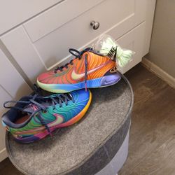 Size 6 Youth LeBrons (Nike)