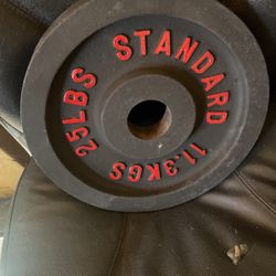 Olympic Barbell 25 Lb Reconditioned 