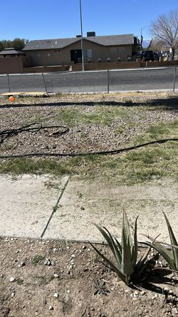 Rock removal!