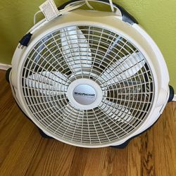 Fan