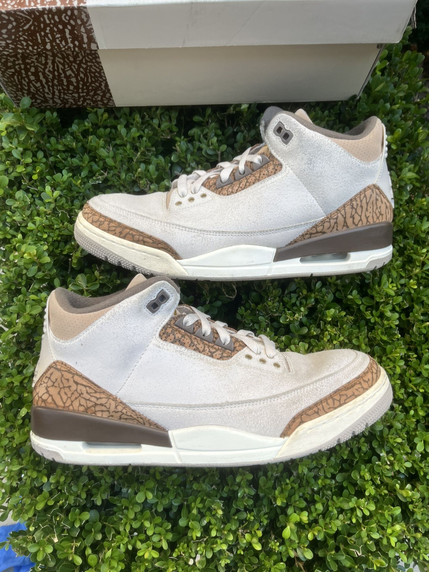 Size 10.5 - Jordan 3 Retro Low Palomino