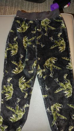 Fuzzy dinosaur xs boy pajama pants