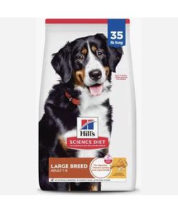 Set for dog 35 lbs