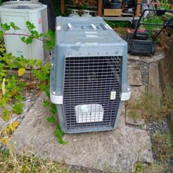 Large PetTraveler/ Kennel Carrier