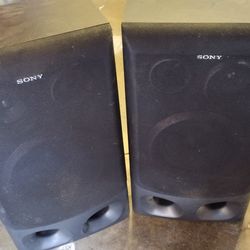 Sony Model # SS-D555 Speakers .