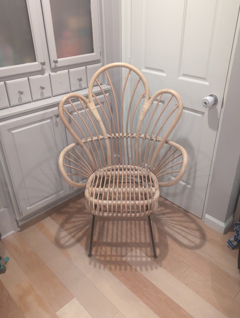 Avocet Rattan Fan chair