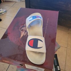 Slides