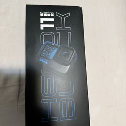 Go Pro 11 