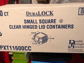 Small square clear hinges lid containers 500ct