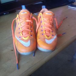 LeBron 12 Low Cavs Classic Sneakers 