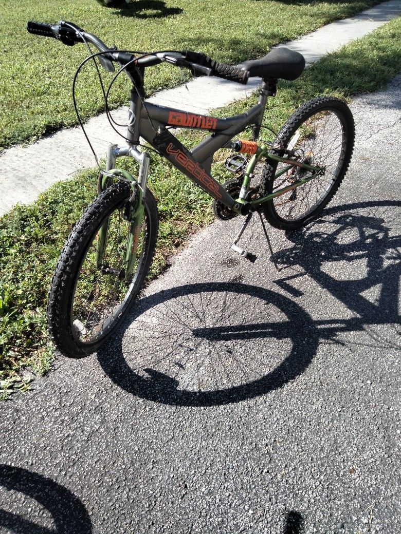 Adult Bike