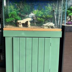 30 Gallon Tank
