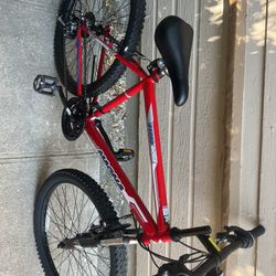 24 Inch Magna Bike 