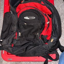 DAKINE backpack, Tons Of Space 