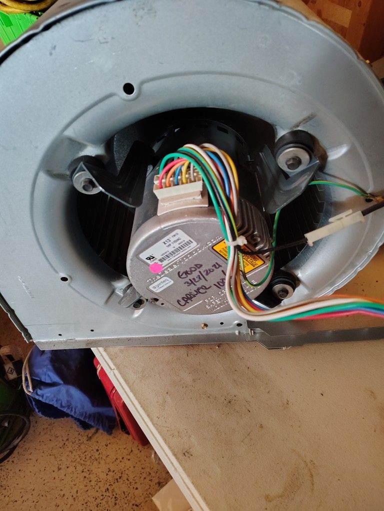 Ecm And Squirrel Cage