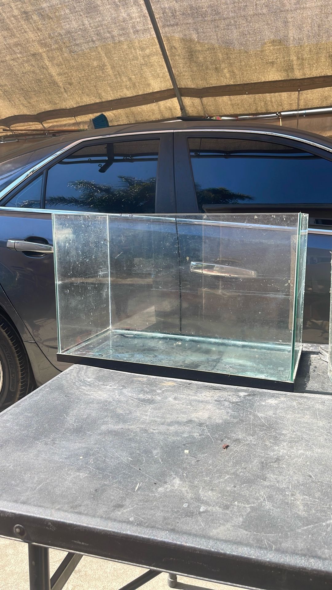 Fish Tank