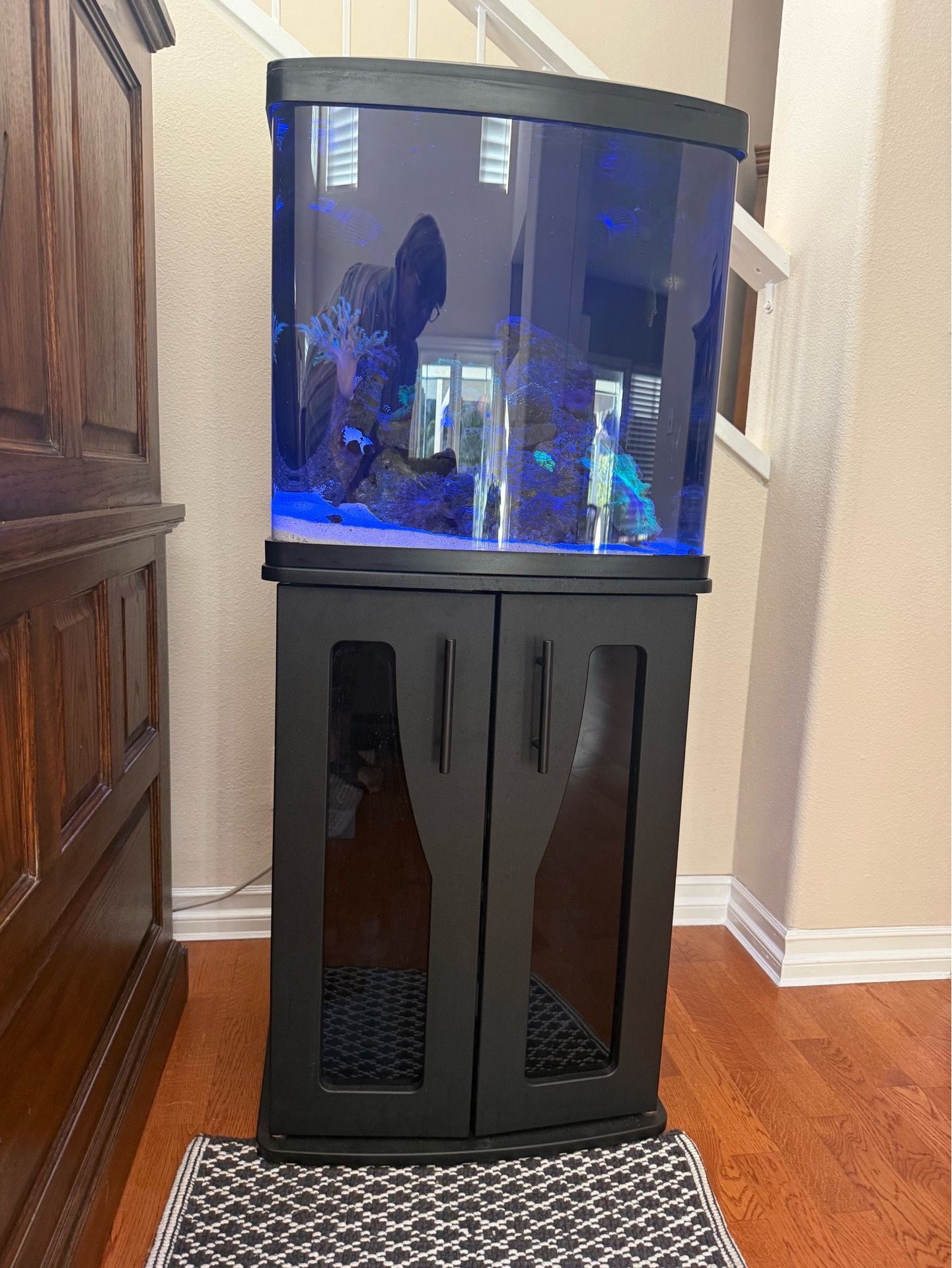 32 Gallon Coralife Biocube and Stand