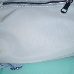 Blue Canvas Purse 