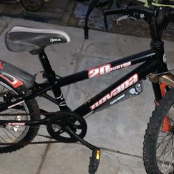 20 Inch Bike 