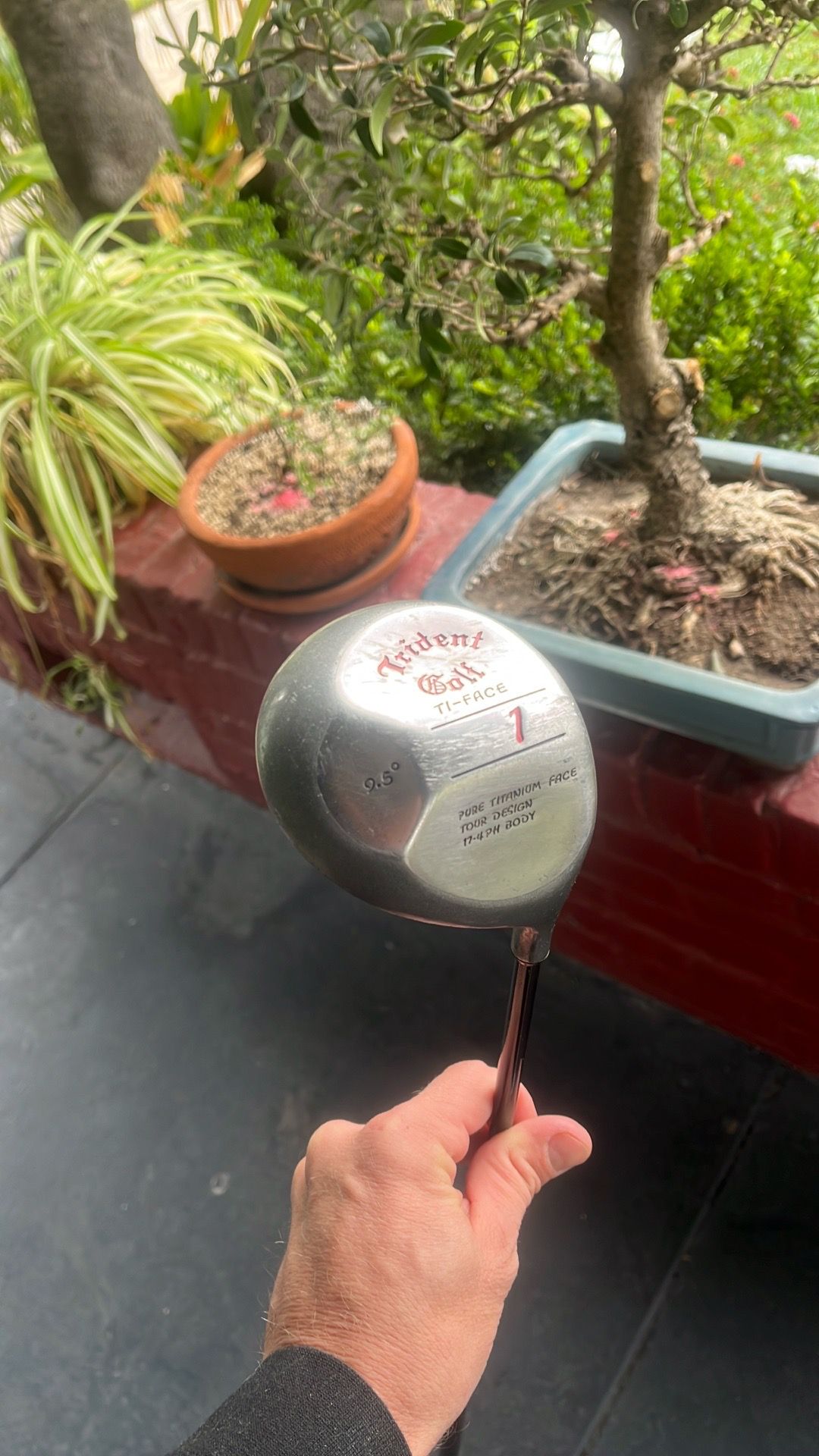 Trident Driver titanium face