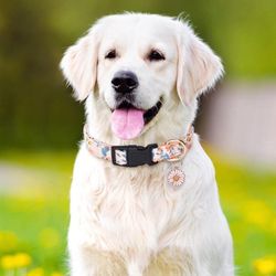 Imported Floral Pet Collar - Durable, Comfy & Stylish