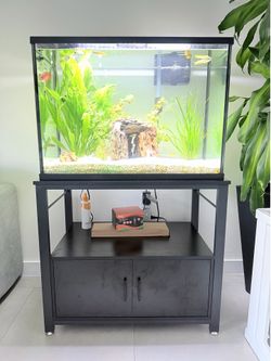 Tank and stand