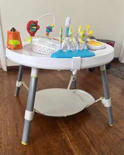 Skip Hop Activity Center