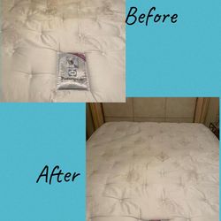 🚨STEAM AND SHAMPOO