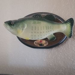 Big Mouth Billy W/ Bluetooth Alexa 