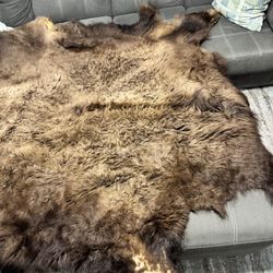Buffalo Hide-75x77