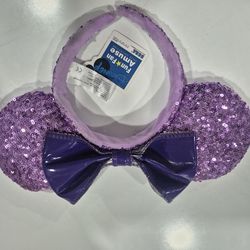 Disney parks ears