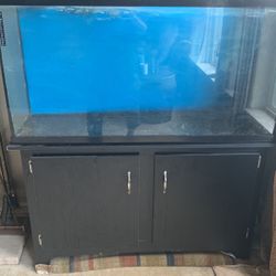 65 Gallon Tank And Stand  Need gone !!!$100