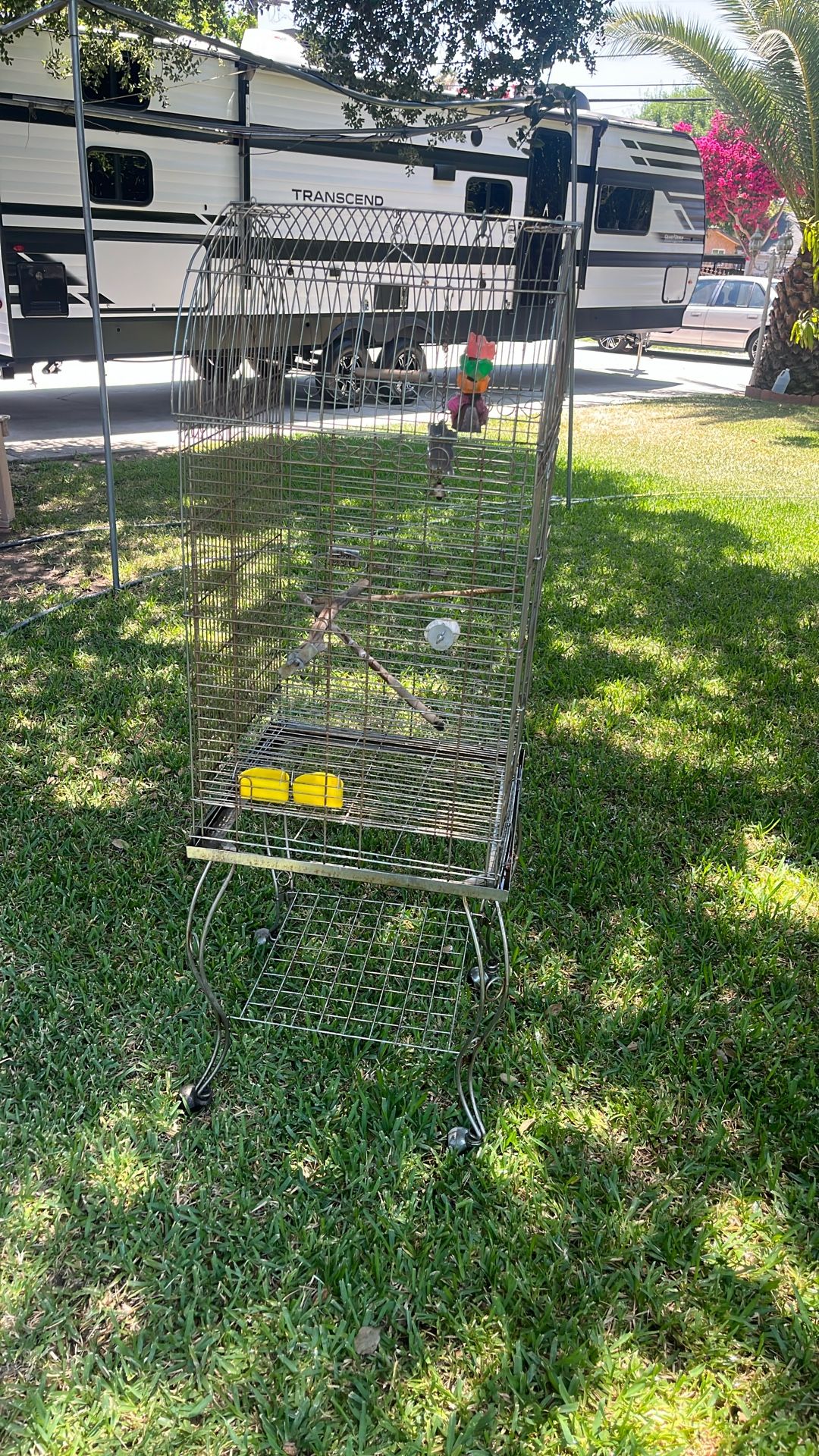 Bird Cage