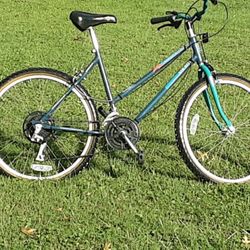 Classic Hybird Comfort ...... MADE IN THE USA .... Diamondback  L Frame ....26 Tires
