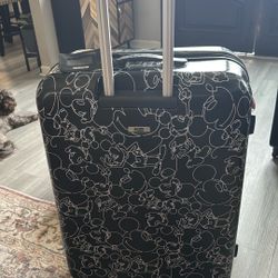 Large  capacity luggage 