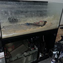 Salt Water Red Sea Fish Tank/Aquarium 