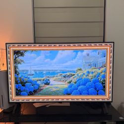 LG OLED 48” TV