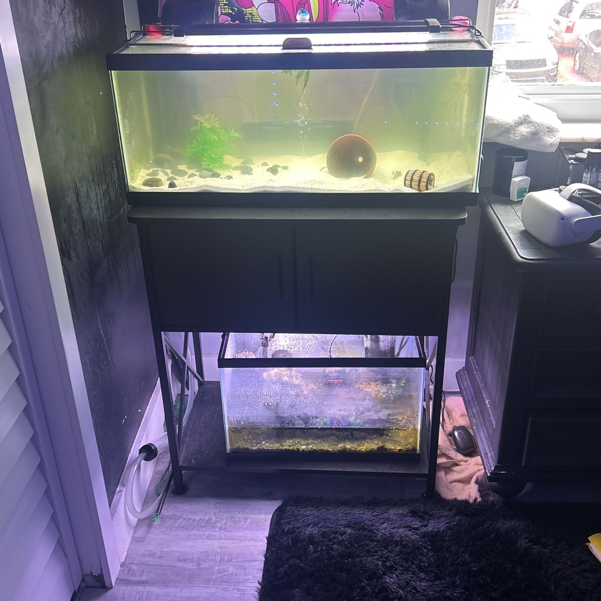 2 fish tanks with decor + stand