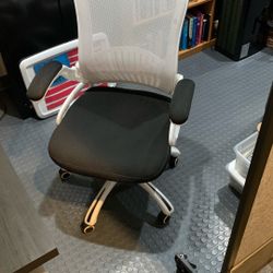 Rolling Office Chair