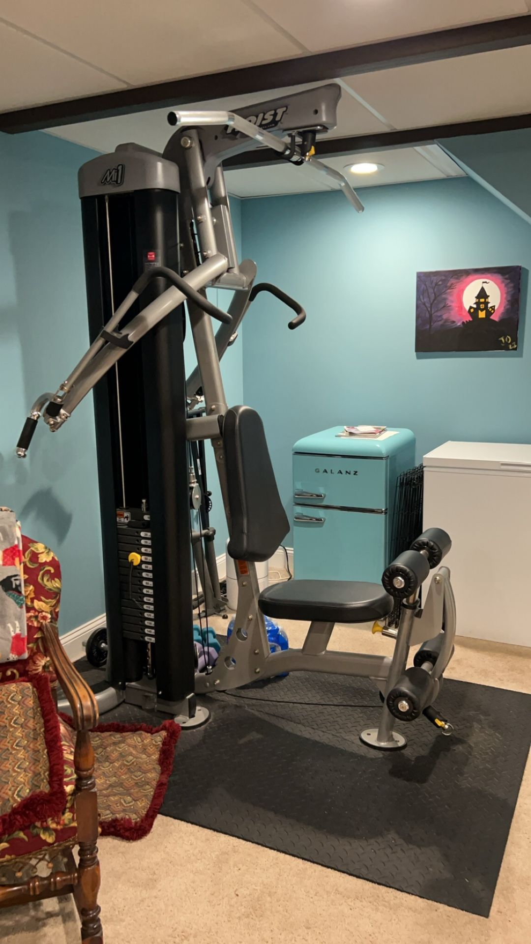 Hoist Mi1 Workout Machine