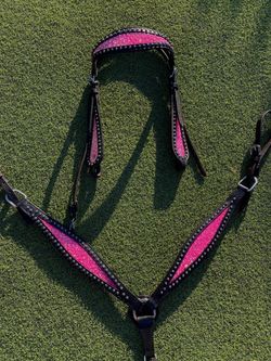 Custom Black and Pink Horse Tack