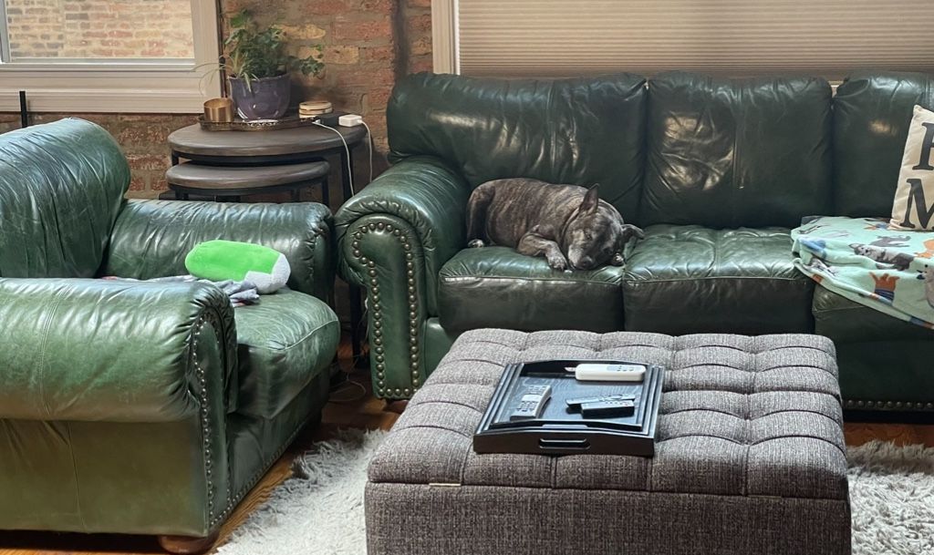 Leather Sofa Couch + Chair (Green)