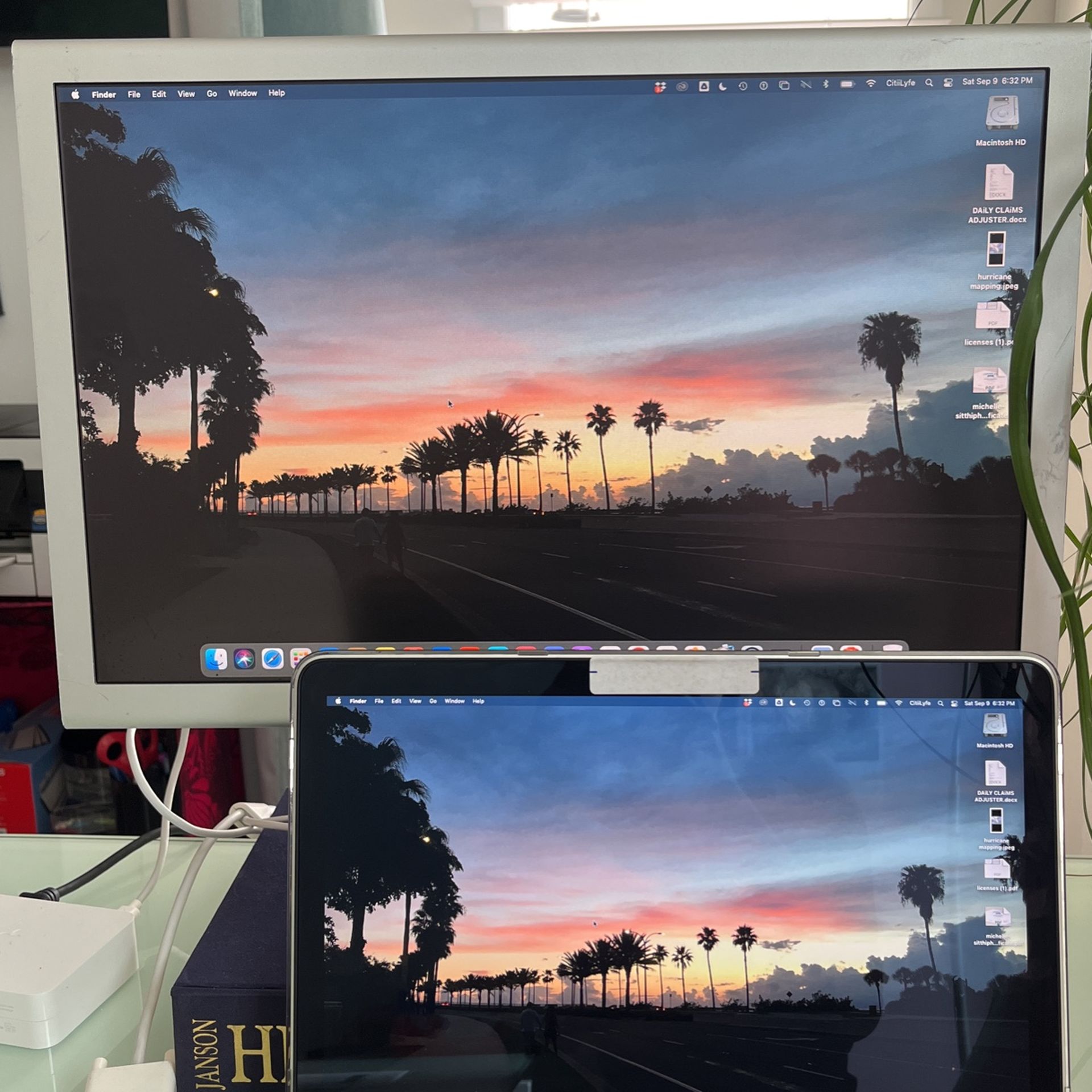 Apple LCD Cinema Display (20-inch, DVI)