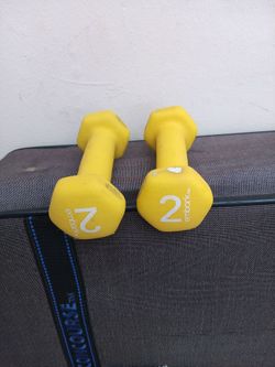 embark 2 lb. barbells