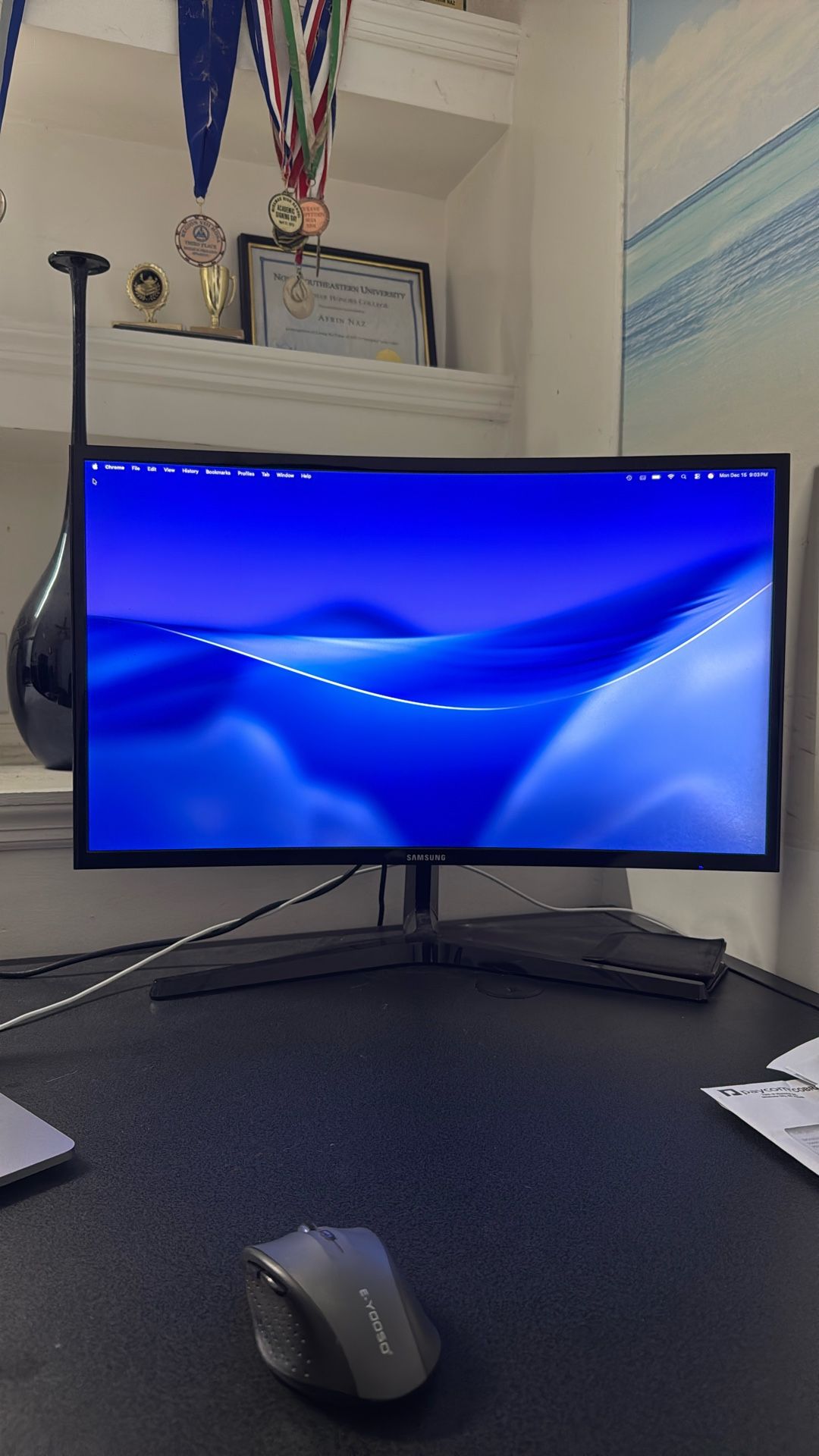 Samsung 24” Curved Monitor