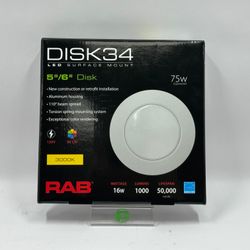 New RAB Disk 34 Surface Mount LED Lighting Fixture DLS0055