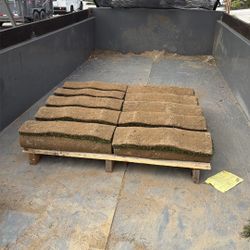 10 Rolls Of Bermuda Grass