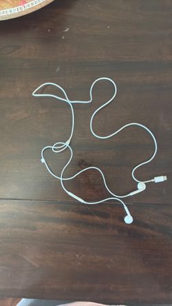 apple EarPods